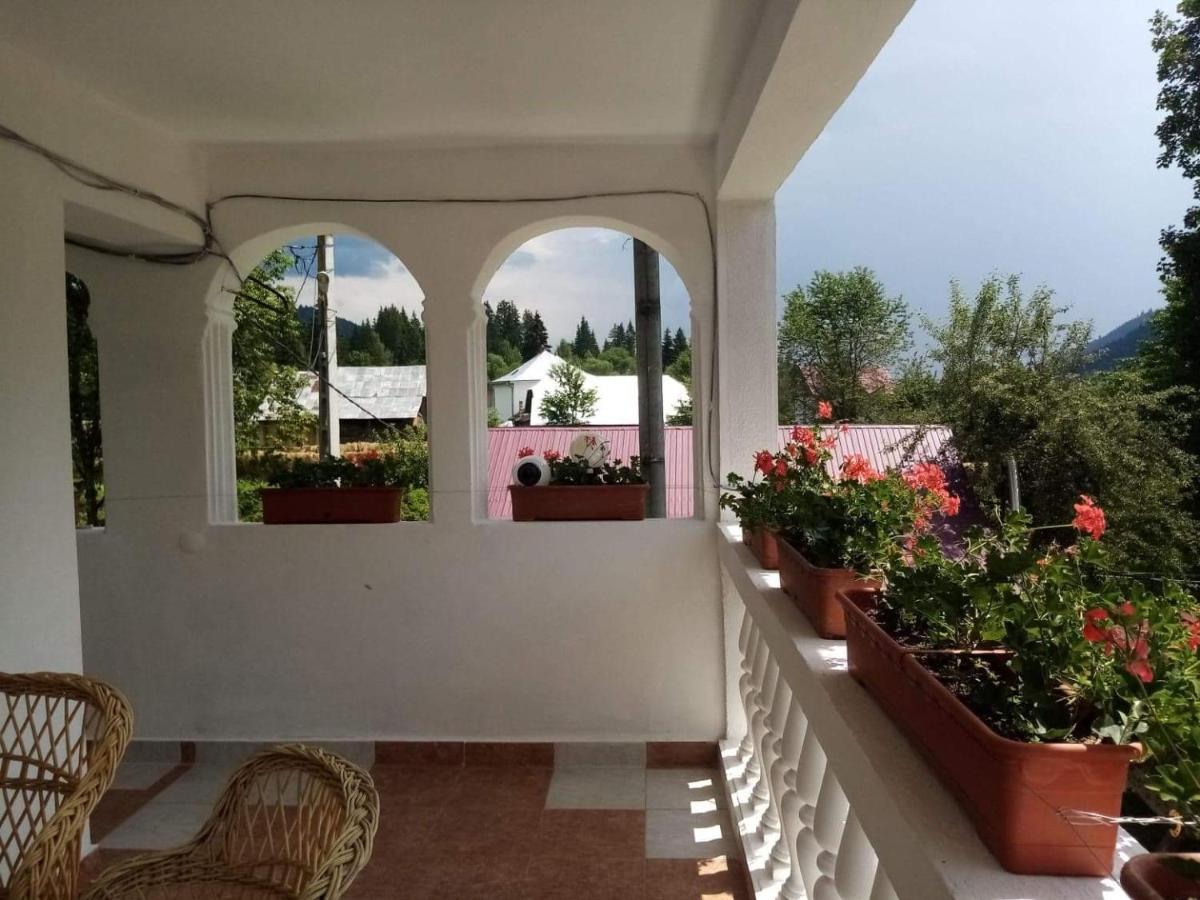 Casa Ionescu Hotel Sadova  Exterior photo