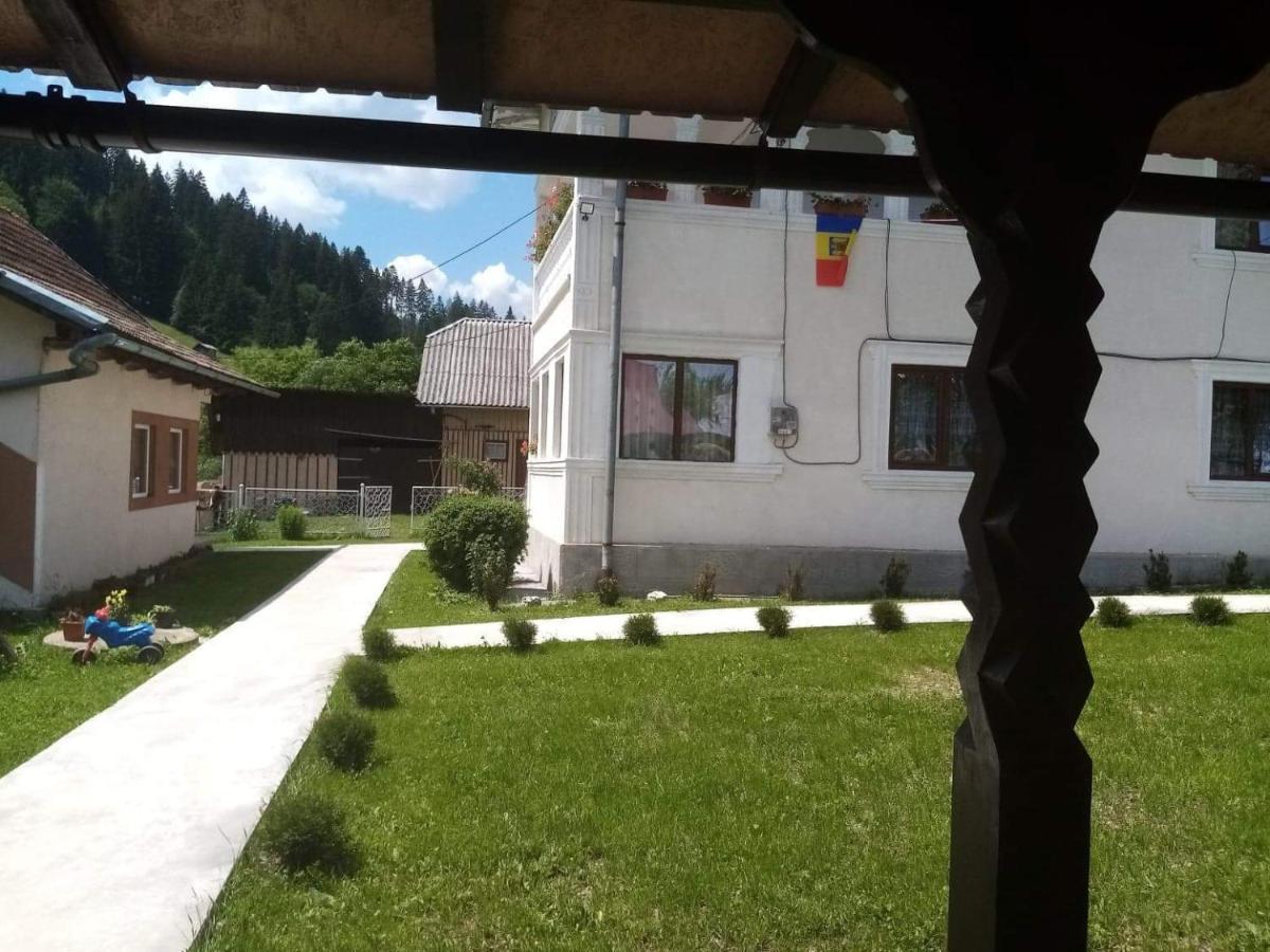 Casa Ionescu Hotel Sadova  Exterior photo