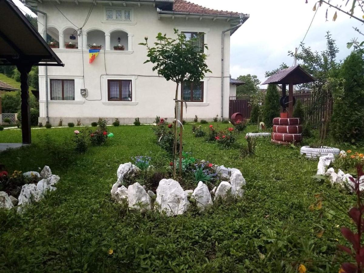 Casa Ionescu Hotel Sadova  Exterior photo