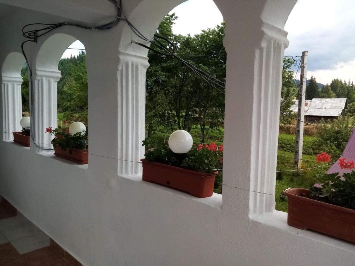 Casa Ionescu Hotel Sadova  Exterior photo