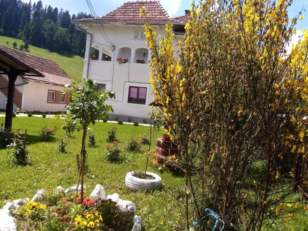Casa Ionescu Hotel Sadova  Exterior photo